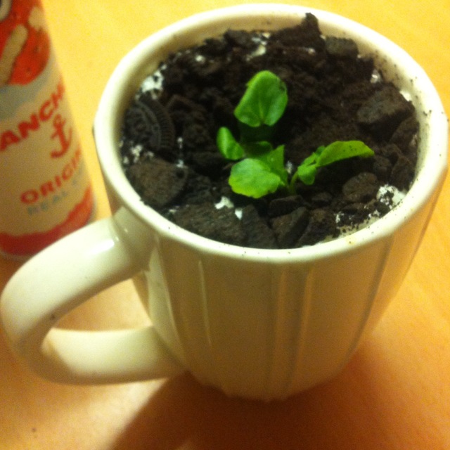 好玩盆栽奶茶的做法_好玩盆栽奶茶怎么做好吃