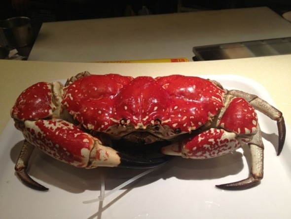 澳洲十一斤帝王蟹(高端定制晚宴)