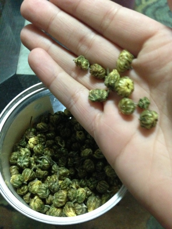 胎菊*