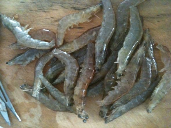 基围虾,四个人大概一斤,天津冬菜,采用它的咸及