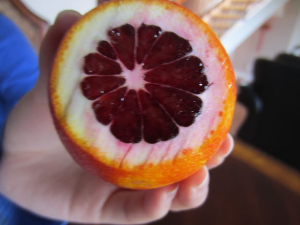 自家种植--血橙,切开的血橙,血橙外表_敏玉空间