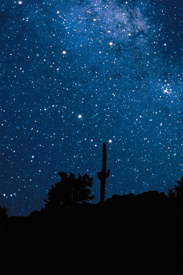 晚安~七夕_羊 子的美食日记