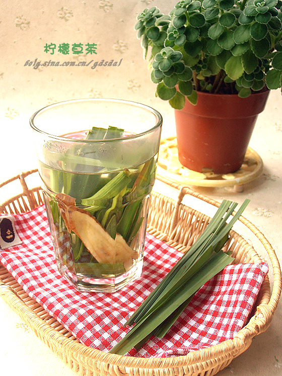 檸檬草茶怎麼做_檸檬草茶的做法_如疏_豆果美食