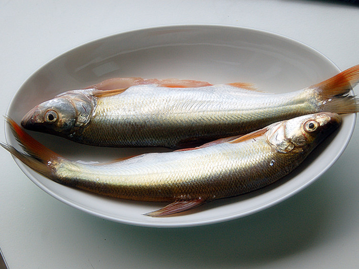 剁椒蒸白魚怎麼做_剁椒蒸白魚的做法_小蕙的廚房_豆果美食